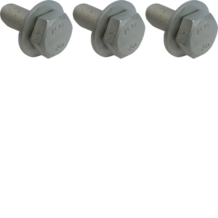 Hager LVZ1230 tvirtinimo varžtai M12x30 šynai