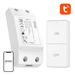 Интеллектуальный WiFi-переключатель Gosund SW20 10A + пульт дистанционного управления, Tuya