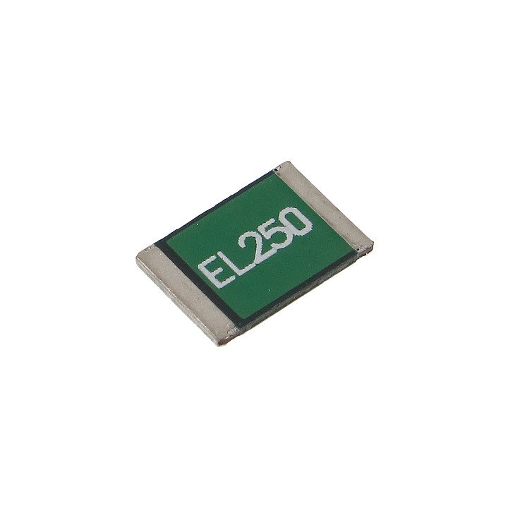 Polymer Fuse BPS-2500*P10