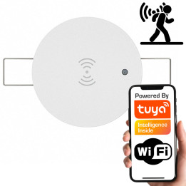 Датчик движения и освещенности 24 ГГц | Встраиваемый потолок | WiFi | TUYA