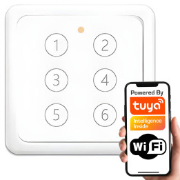 Kaugjuhtimispult 6 kanalit 18 programmi magnetalus LR ZigBee TUYA seeria