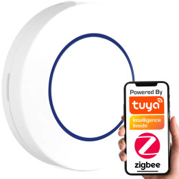 Inteligentny Pilot 1 программа 3, активная программа ZigBee TUYA