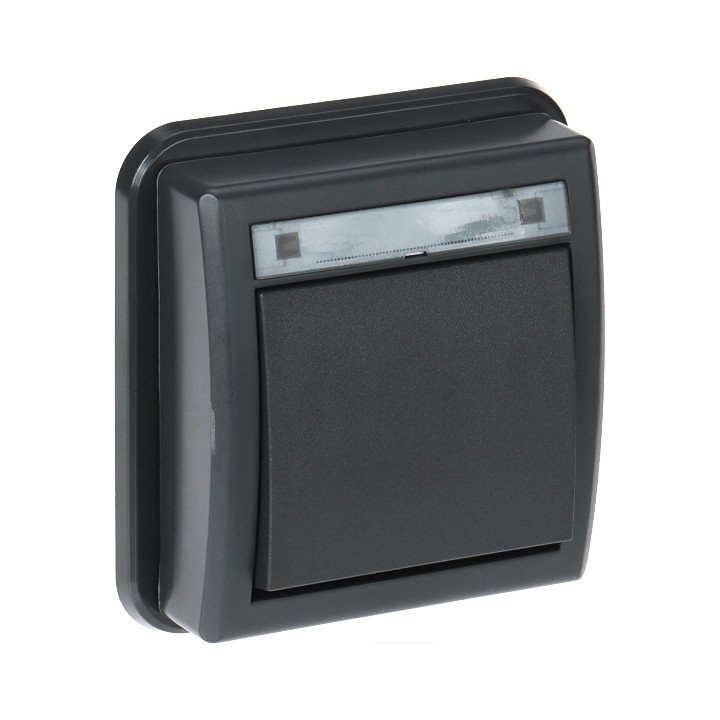 AQUANT-5001-77/EPN Elektro-Plast Mechanical Switch 250 V 10 A IP55