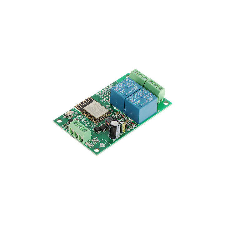 ESP12-2R-D8 Wi-Fi Smart Control Module