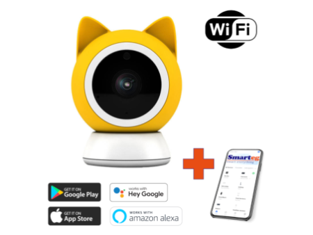 Smart Camera WiFi, 1080p