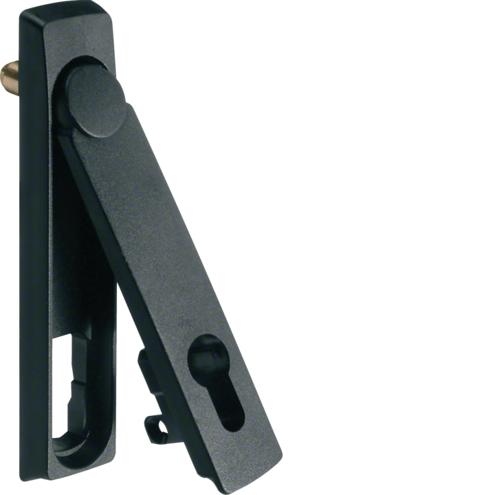 Hager FZ534N Swing Lever for IP44/IP54 Enclosures
