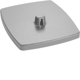 Hager DAFF220007035 Baseplate RS double, light grey