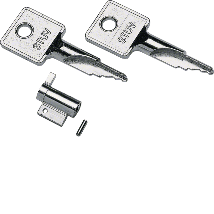 Hager VZ313 Door Key for Gamma Mini-Enclosure