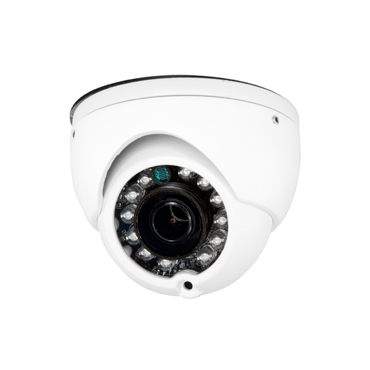 DM939FIAB-F4N1 MARCA BLANCA 2MP IP66 Dome IP Camera with PoE