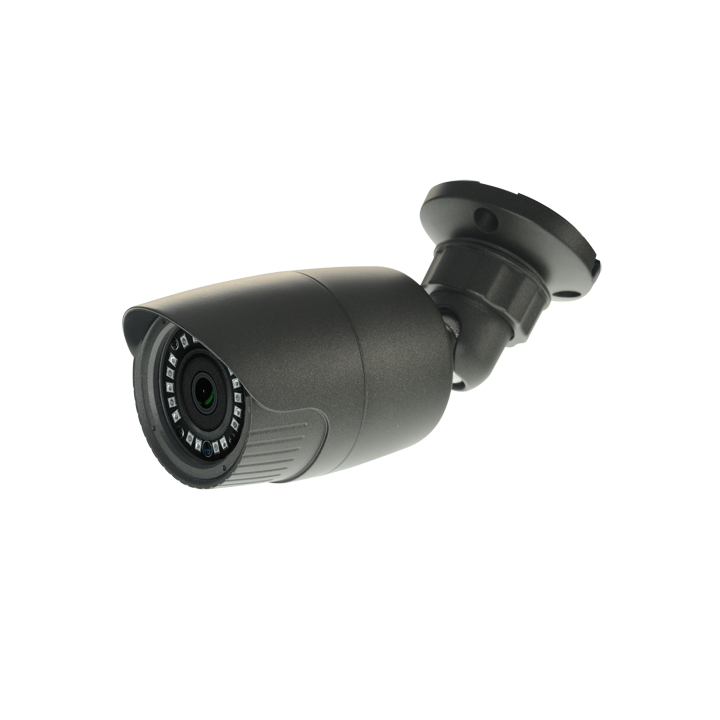 NV-19 NIVIAN RETAIL 2MP Speed Dome PTZ CCTV Camera with IR 20m, IP66