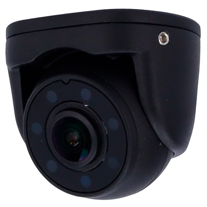MARCA BLANCA VW-773-1080P 2MP IP kuppelkaamera PoE