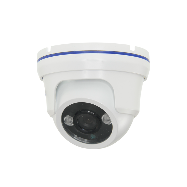 DM821IB-FHAC MARCA BLANCA IP66 Dome IP/PoE Camera, 3.6mm, 30m IR