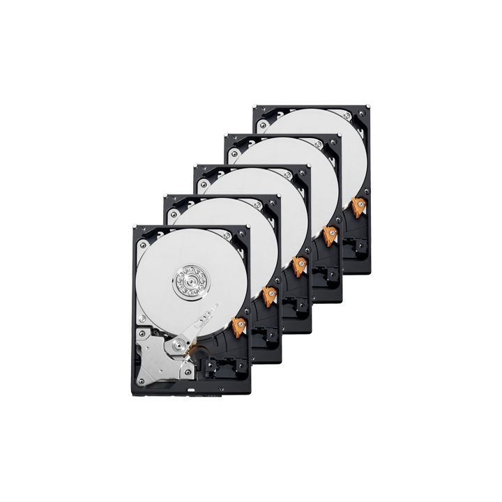 Western Digital 10XHD6TB 6TB Surveillance Hard Drive