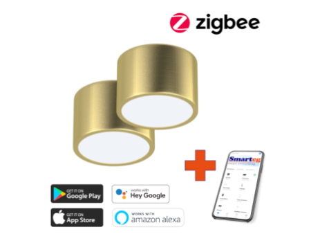 2x Smart griestu lampa 15cm 12w ar tālvadības pulti Zigbee