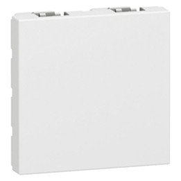 Blanking plate Mosaic - 2 modules - white