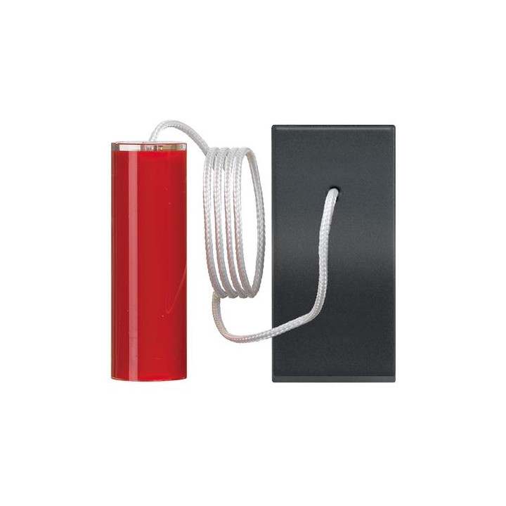 Pull - cord pushbutton1 P (NO) 10 A - 250 Vac