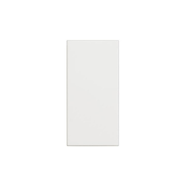 Blank plate - 1 module