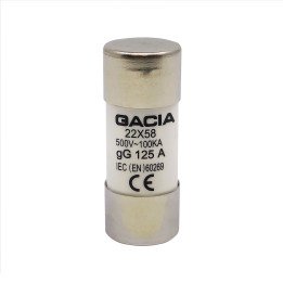22x58 gG 125A cylindrical fuse link 500VAC