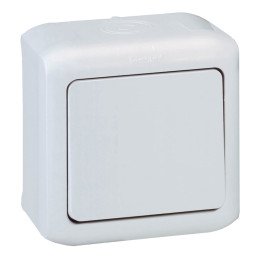 Two-way switch Forix - surface mounting - 10 AX - 250 V - grey