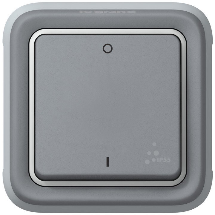 Double pole switch Plexo IP 55 - 10 AX - 250 V - modular - grey