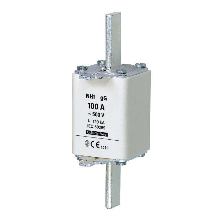 NH1C gG 100A/500V fuse link