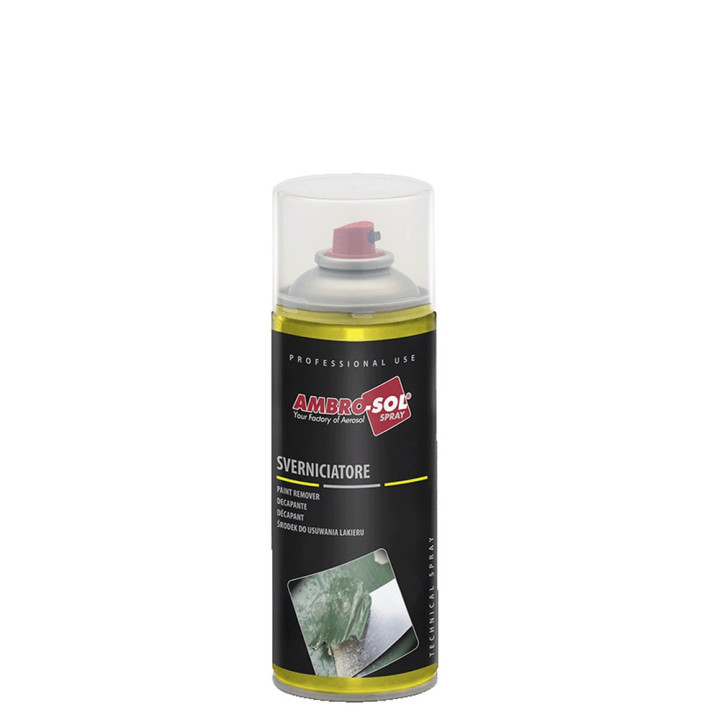 Paint remover 400 ml
