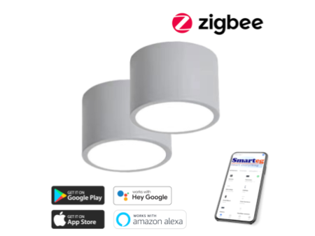 2x Smart griestu lampa 15cm 12w ar tālvadības pulti Zigbee