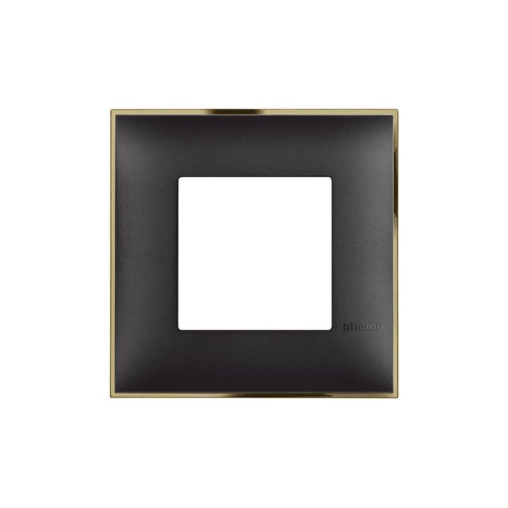 Cover plate - 2 modules