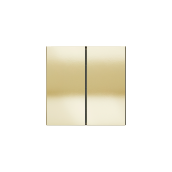 Ekinex plāksne Form/Flank/NF 40x80 mm Champagne metāls EK-TRV-CHA