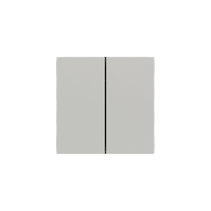 Rectangular vertical plastic rocker (2 pcs.) - for 2-fold pushbutton FF series - Silver Plastic