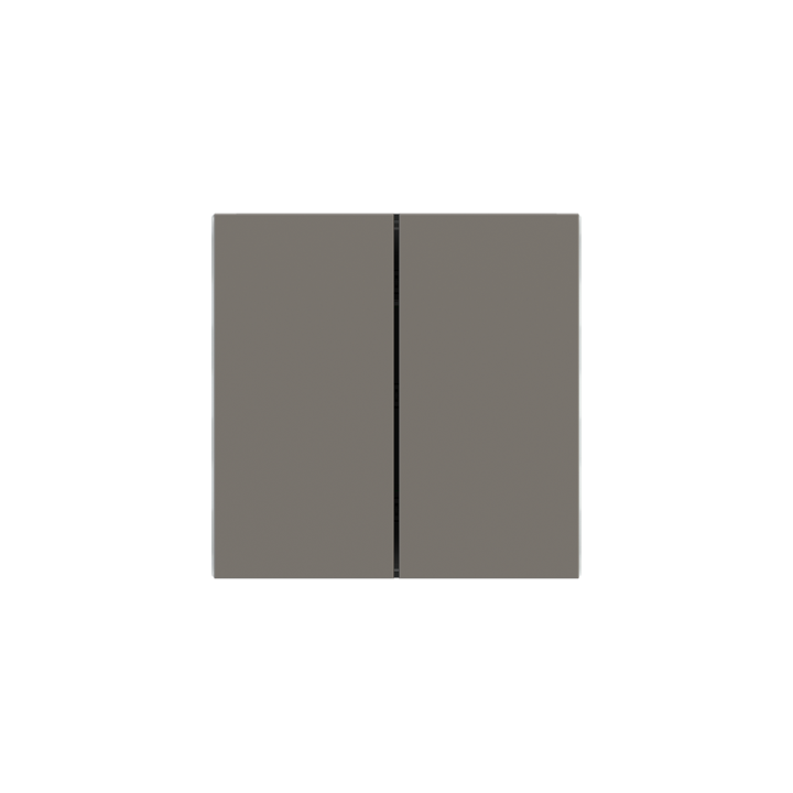 Ekinex накладка Form/Flank/NF 40x80 mm серый Fenix NTM EK-TRV-FGL