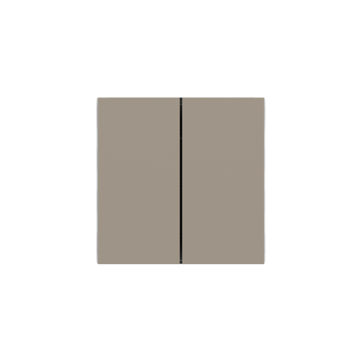Ekinex plāksne Form/Flank/NF 40x80 mm Fenix NTM EK-TRV-FCO