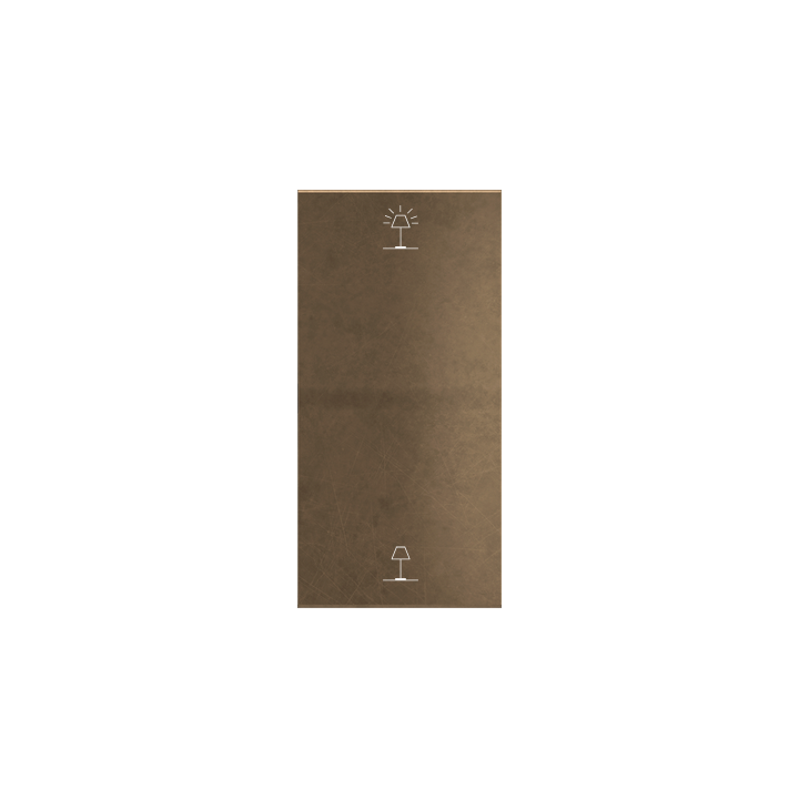 Ekinex plāksne ERA 40x81 mm bronza metāls EK-T2V-GBD-P