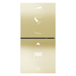 Ekinex plāksne FF 40x40 mm Champagne metāls EK-TQQ-CHA-EF2-