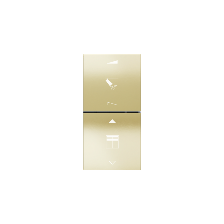 Kit 2 rockers FF square (40x40) for EF2 with symbols Metal HT Champagne