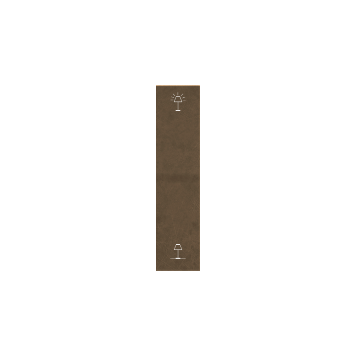 Ekinex plāksne ERA 20x81 mm bronza metāls EK-TEV-GBD-P