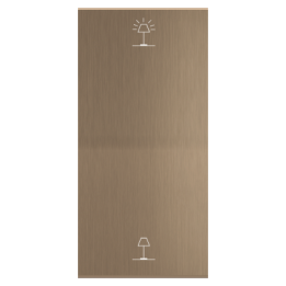 Ekinex накладка ERA 40x81 mm латунь металл EK-T2V-GWB-P
