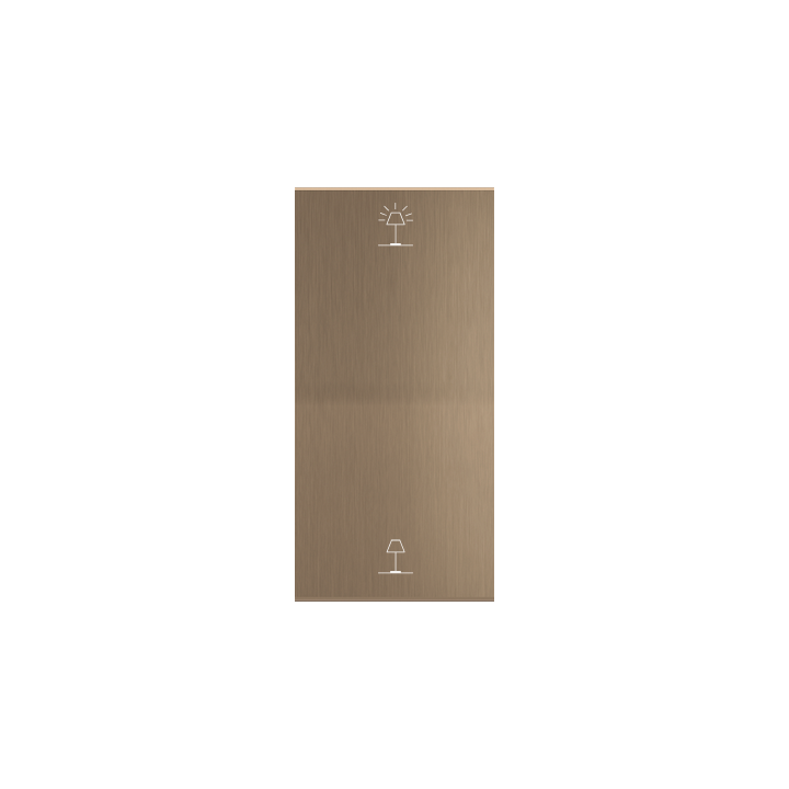 Ekinex plāksne ERA 40x81 mm misiņš metāls EK-T2V-GWB-P