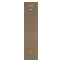 Ekinex plāksne ERA 20x81 mm misiņš metāls EK-TEV-GWB-P
