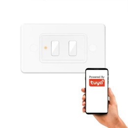 Scenos nuotolinio valdymo pultas 2 kanalai 6 programos LR serija ZigBee Home Assistant TUYA