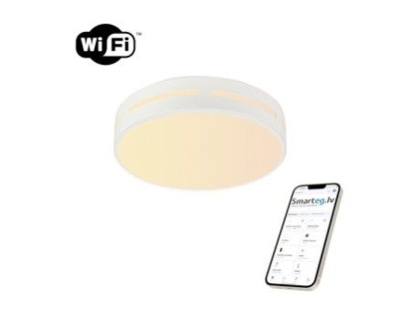 LED RGB griestu lampa apaļa 50cm 48W Wi-Fi