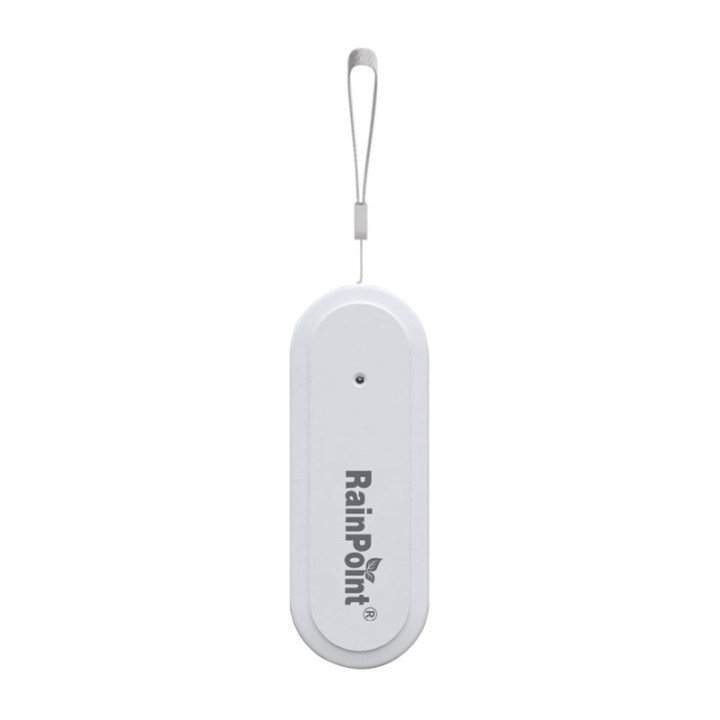 RainPoint Smart+ Smart Thermohygrometer HCS014ARF
