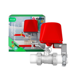 Nous LZ3 Zigbee nutikas klapp