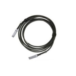 Mellanox Technologies MCP1600-C001E30N networking cable Black 1 m