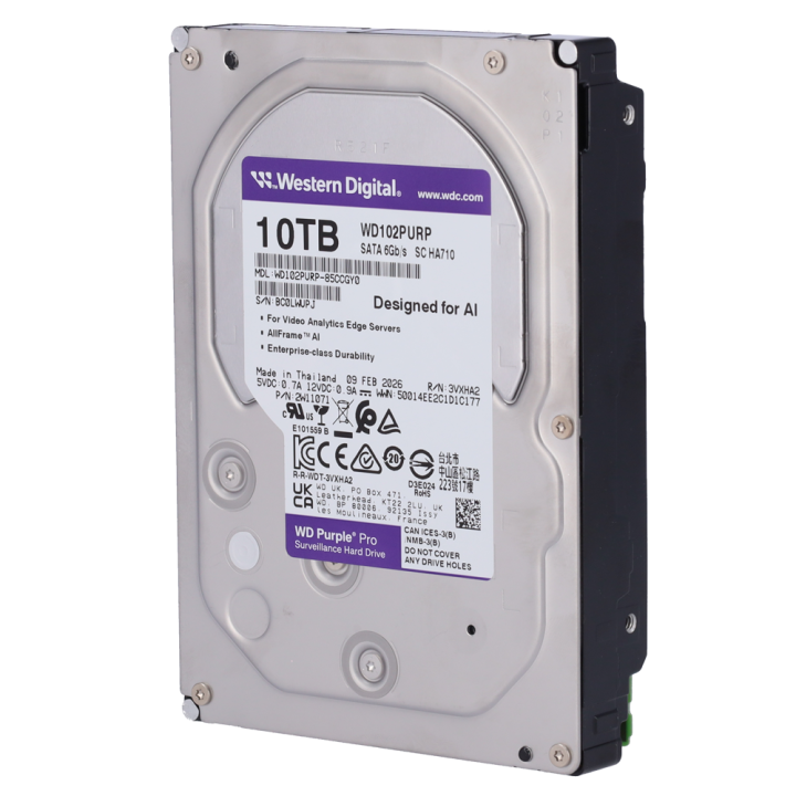 Western Digital HD10TB 10TB valvontakiintolevy HDD