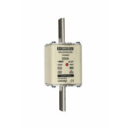 NH fuse-link gG, 500VAC, size 2, 300A double indicator/live tags