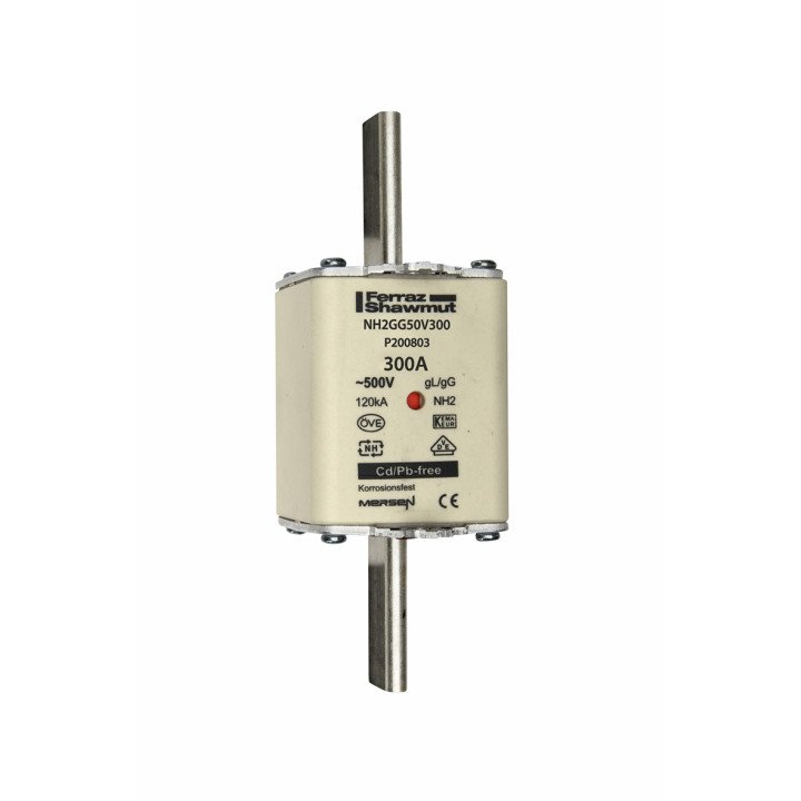 NH fuse-link gG, 500VAC, size 2, 300A double indicator/live tags
