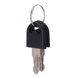 TURBOO TS-SP-KEYS Turniketo atsarginiai raktai
