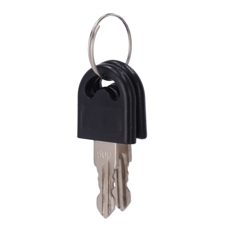 TURBOO TS-SP-KEYS Запасные ключи для турникета