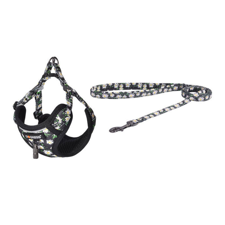 Dogness DOG SET DAISY Walking Set Leash 1.5m + Harness for Dog, Multicolor